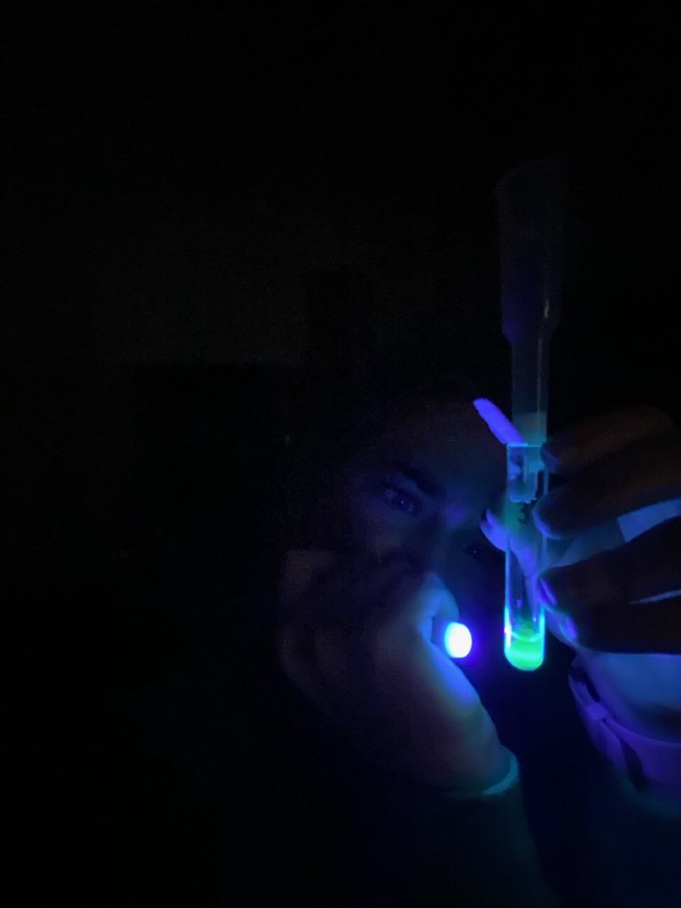 22Rocketscience's tweet photo. Glow up ✨ AP Bio and AP Chem students successfully collaborated to isolate the fluorescent protein we transformed into E.Coli bacteria two weeks ago. Ask them to explain the science behind this! #RocketsLearn #DoingGoodTogether https://t.co/WjMfmt8NNZ
