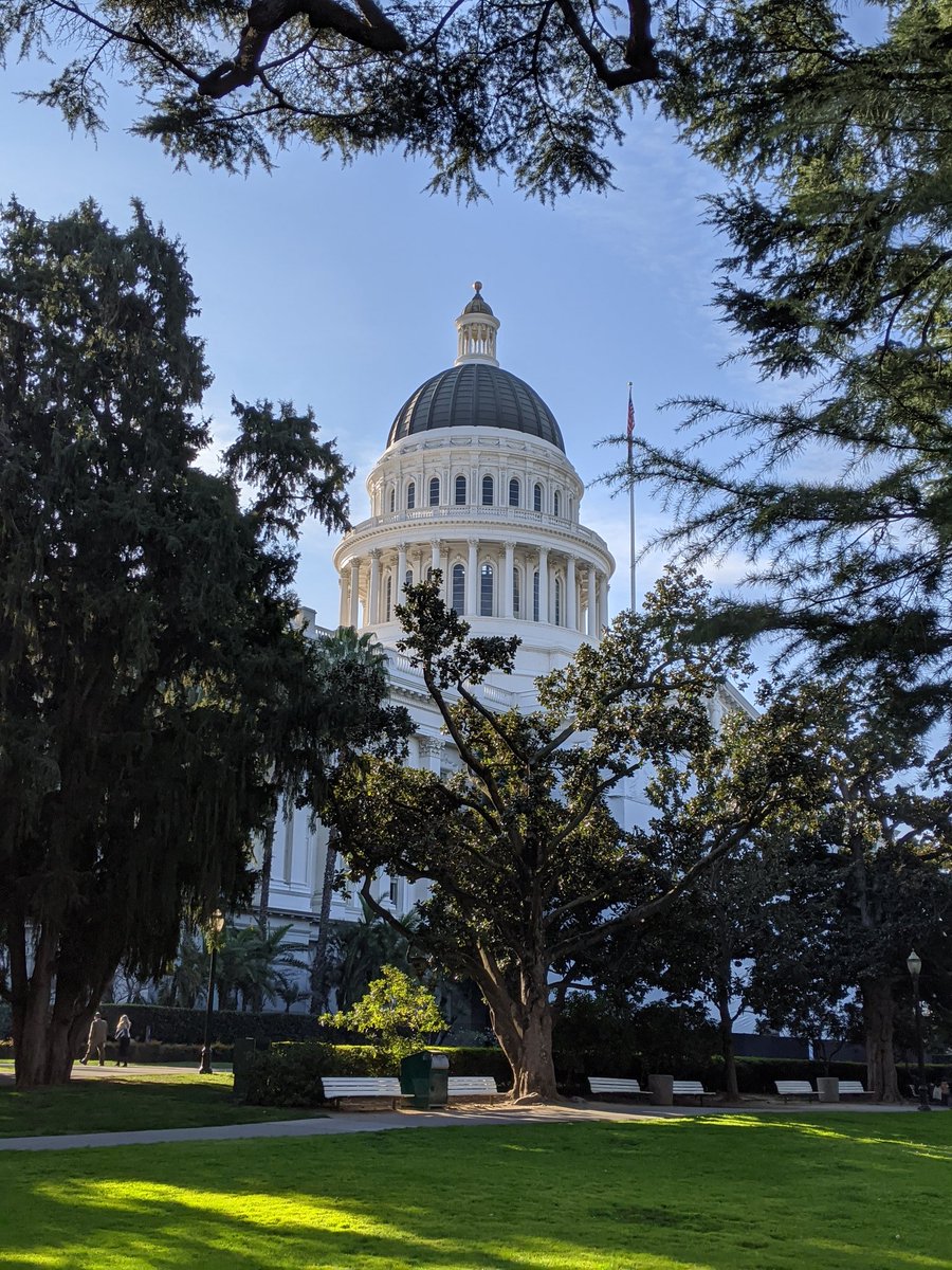 Cal_DSA's tweet photo. We're here! Proud to have our members at the Capitol to advocate for individuals with I/DD, their workforce, and the future of our system.
#WeHaveThePlan #KeepThePromise https://t.co/uy2Nl7oH4K