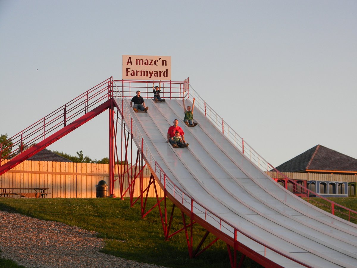 visitstcloud's tweet photo. Pony Rides, Bird Barn, Puppies, Barn Animals, Duck and fish ponds, and so much more at A maze'n Farmyard!
Things like a Maze, Silo Slides, Snack shop, Mini Golf, and Corn pits are added bonuses! #MWTravelChat #VisitStCloud
https://t.co/GU2bVNQpyx https://t.co/x4Wdqw1GgI