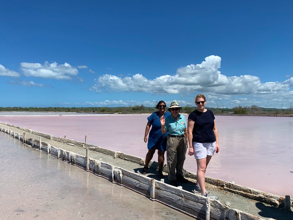 PuertoRicoDMO's tweet photo. Last week, we hosted writers from @fodorstravel,
@Forbes, @lonelyplanet & #BusinessTravelerMag on a press trip focused on #PuertoRico's west coast. Attendees explored #LaParguera's #BioBay, #Yaucromatic, #Guanica's Dry Forest, the pink salt flats, #PlayitaRosada & many others. https://t.co/Apo6ULRTb6