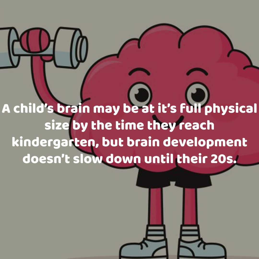 Child Development Facts

Day 21: Don’t Stop Me Now

#parenting #child #childfacts #kidsfacts #facts