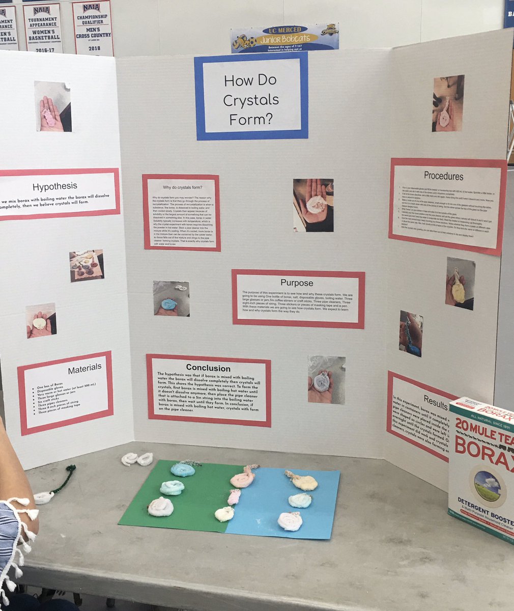 S_Ludwig6's tweet photo. Hawks representing @AESD at Merced County STEM Fair! 🧪🔬🧫
#stem #ucmerced https://t.co/PnP6IzgGjm
