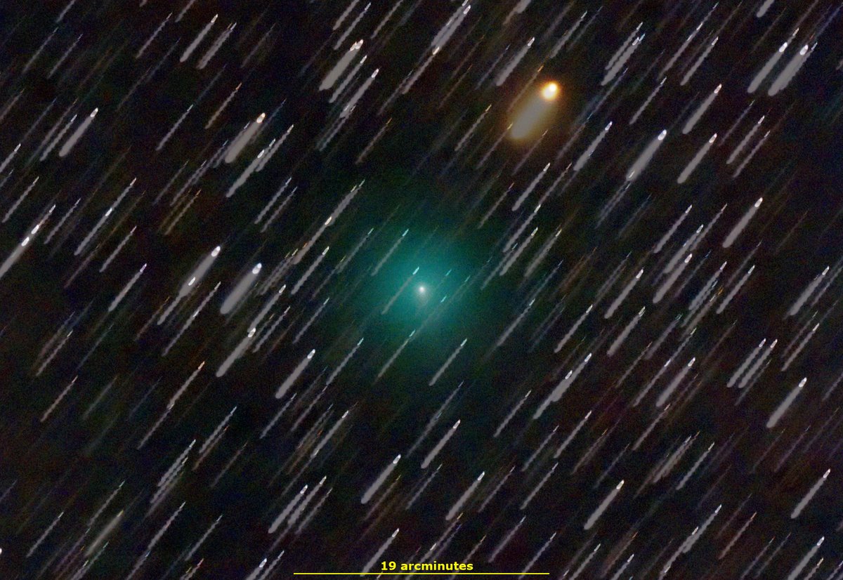 martinastro2005's tweet photo. Update from https://t.co/gkL5PN2YlO on comet C/2019 Y4 ATLAS https://t.co/6XAU9pqrag #brightcomet #cometatlas https://t.co/jCIAEjfBYz