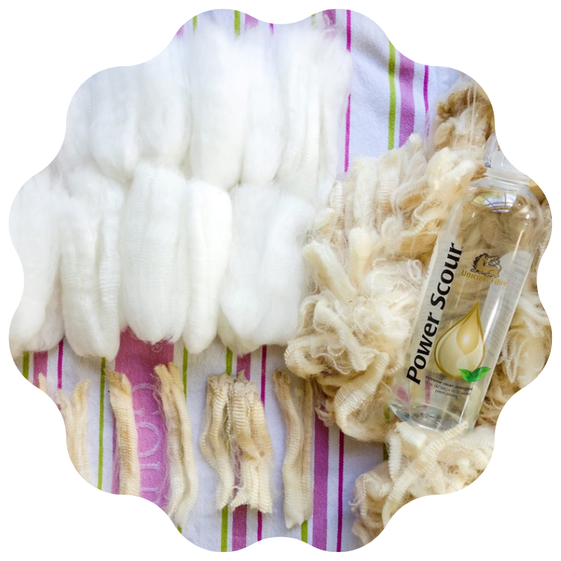 Get to know Pino Blangiforti, At Large Director on the #TNNA Board of Directors and CEO of #UnicornFibre. Pino discusses his company's long history, how he approaches business and what keeps his love for the industry ticking. 🧶

Read more on the blog: bit.ly/39ng5bo