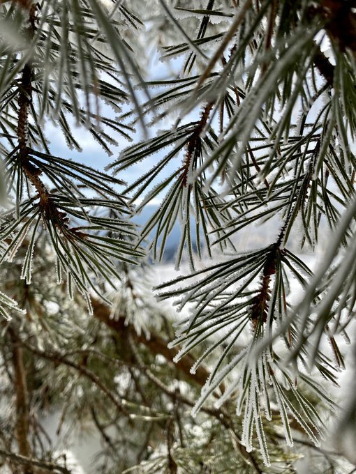 I was gone 5 days, because I was here))) https://t.co/Wjxn8d4BEm