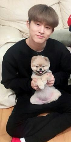 xnyeony's tweet photo. the ikons with pets 🥺💕 the best content on the internet 🥺 https://t.co/FEIhrTk9bA