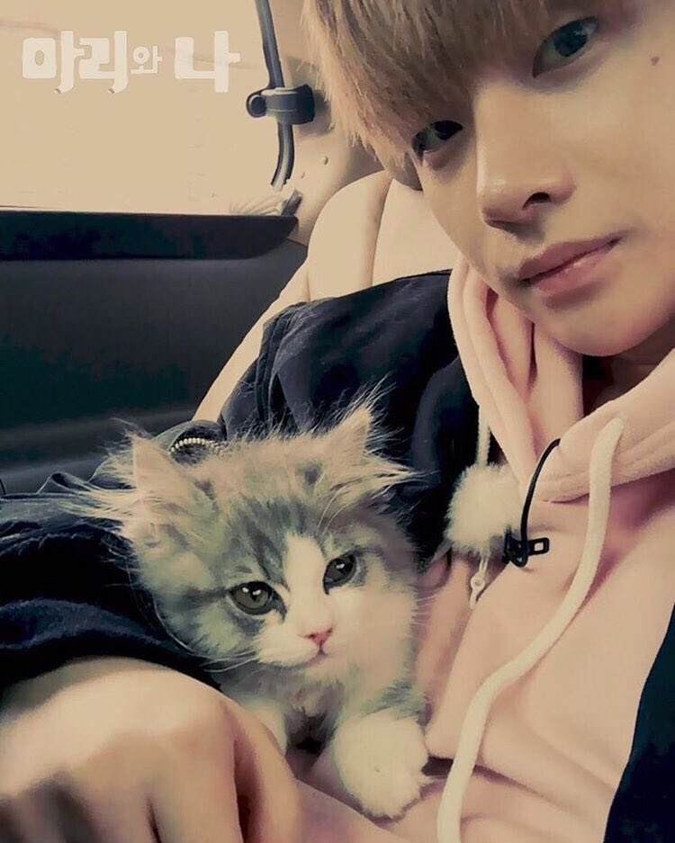 xnyeony's tweet photo. the ikons with pets 🥺💕 the best content on the internet 🥺 https://t.co/FEIhrTk9bA