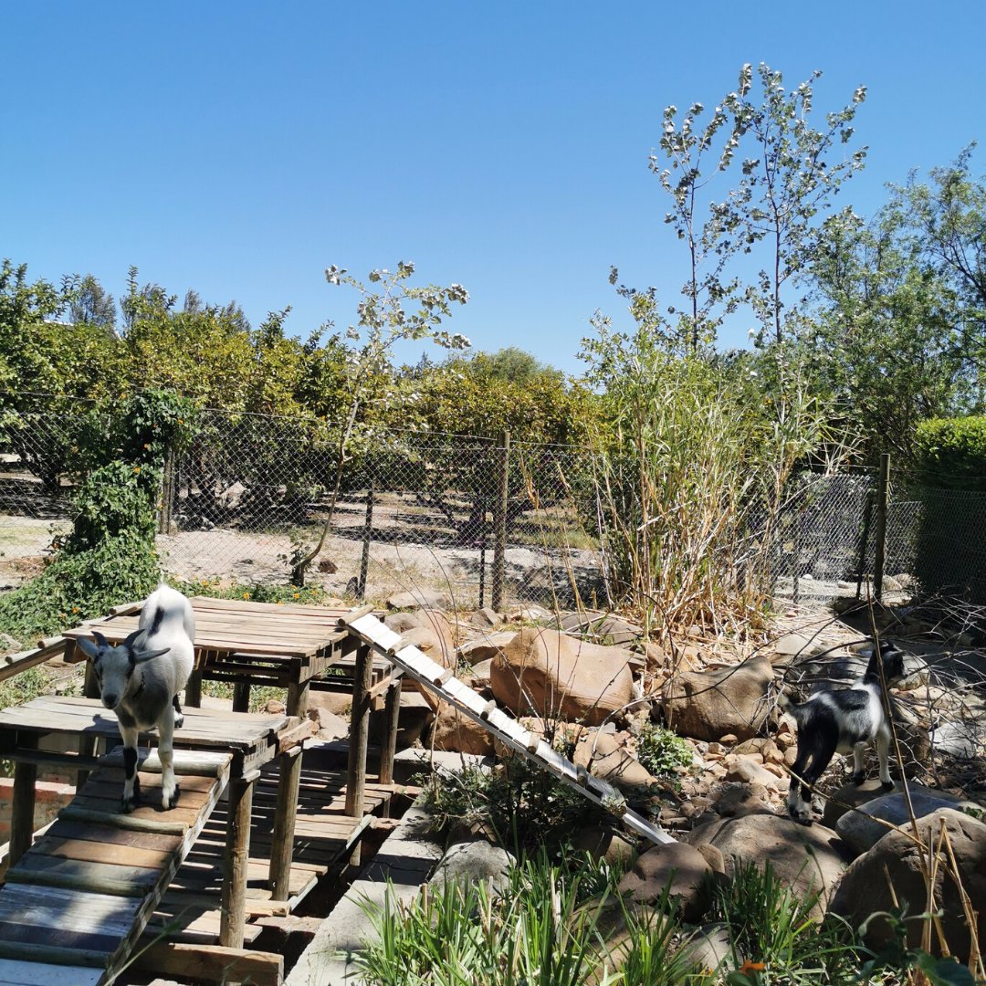 📣 AWESOME FAMILY GIVEAWAY AT DUNSTONE 📣

Read all about it in our blog and head over to Instagram to enter! dunstone.co.za/win-a-family-d…

#dunstone #dunstonefamily #familydayout #fundayout #heartwellington #visitwellington