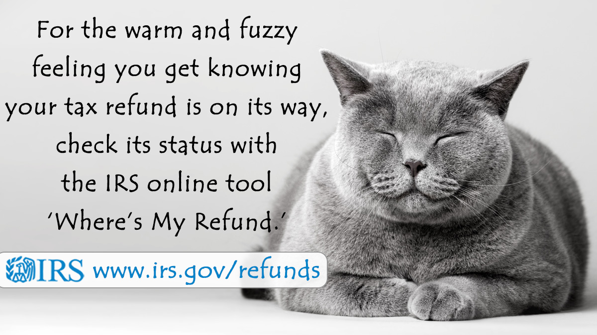 IRSnews on Twitter: "Want to know your tax refund status? Have your SSN,  filing status and exact refund amount ready when accessing the #IRS online  tool "Where's My Refund?” on https://t.co/PFiedQsvmp  https://t.co/Bhu6gNhvxn" /