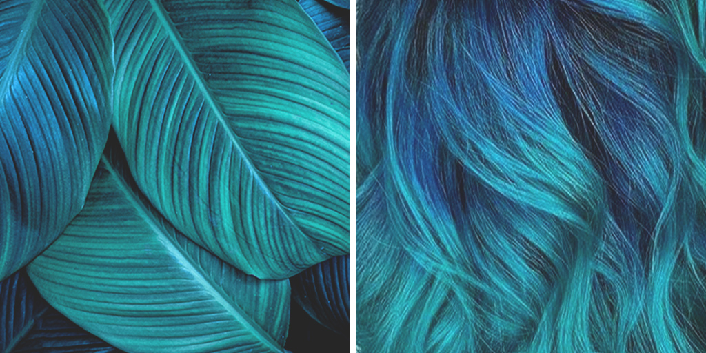 PaulMitchellEdu's tweet photo. Tropical state of mind. 🌴🦋 📸: @ genna_pmthesalon (IG), @paulmitchellhaircareus #bluehair #greenhair #hair #haircolor
#haircolorinspiration #haircolorinspo #hairinspiration #hairinspo #hairlove #inspo #PMTS #PMTSalumni #springhair https://t.co/vdqwbqKZIJ