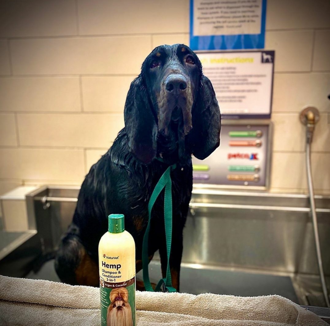 natruvet shampoo and conditioner