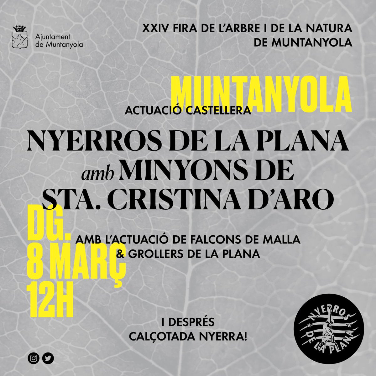 Esteu preparats? Teniu la camisa planxada i els pantalons blancs ben nets? Doncs prepareu-ho que diumenge anem a Muntanyola amb els amics de @Minyons_SC i <a href="/FalconsdeMalla/">Falcons de Malla</a>!
