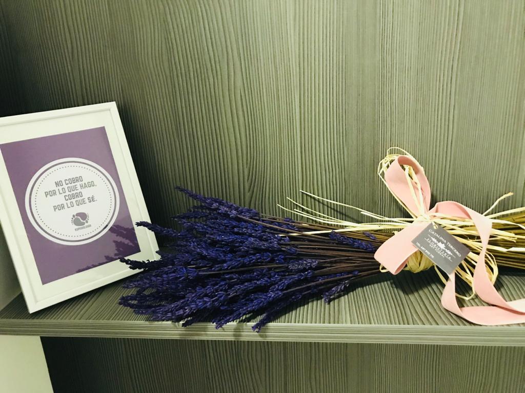 ESPodologia's tweet photo. 📸 Visitas que enamoran 💜

Ha venido a visitarnos hoy Catalina Tercero - Art Floral y nos ha regalado este bonito buqué de lavanda...¿porque será que ese color me enamora tanto? 💜

#espodologia #podologiaconamor https://t.co/fGb3iRWfzh