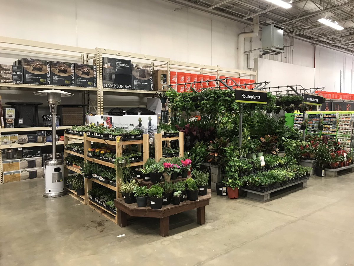 George Cox (@thdgeorgec8429) on Twitter photo 8429’s front apron and store is ready to rock n roll. Bring Spring! @thd_young <a href="/DannyWatson04/">Danny Watson</a> <a href="/LorieCorke/">Lorie Bowen</a> <a href="/Mis_T_Thompson/">Misty Thompson</a> <a href="/BBrandon33/">Bobby Brandon</a> 8429’s front apron and store is ready to rock n roll. Bring Spring! @thd_young <a href="/DannyWatson04/">Danny Watson</a> <a href="/LorieCorke/">Lorie Bowen</a> <a href="/Mis_T_Thompson/">Misty Thompson</a> <a href="/BBrandon33/">Bobby Brandon</a>