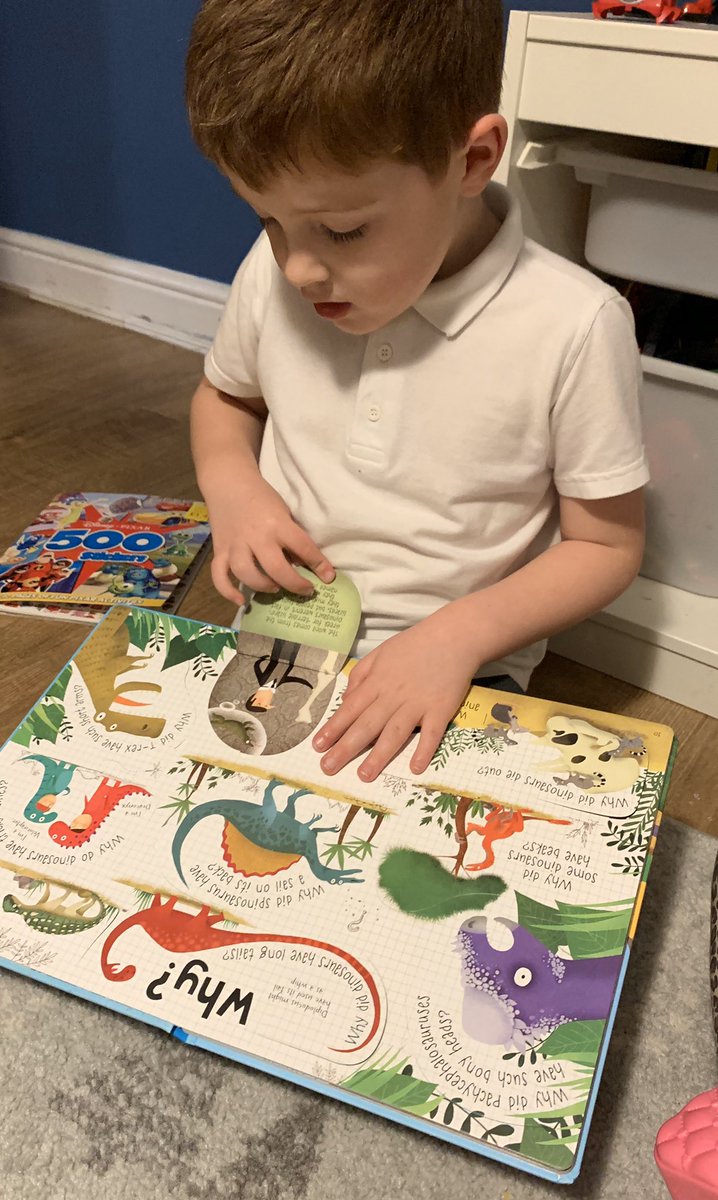 sacha_ryder's tweet photo. @MrsMooreStMarys @MrsWarburtonStM Cooper is so happy that the new topic is all about dinosaurs. He’s found the perfect book on his book shelf filled with dinosaur facts 🦖 🦕 #activity1 #homelearning https://t.co/Bit22ZCnvb