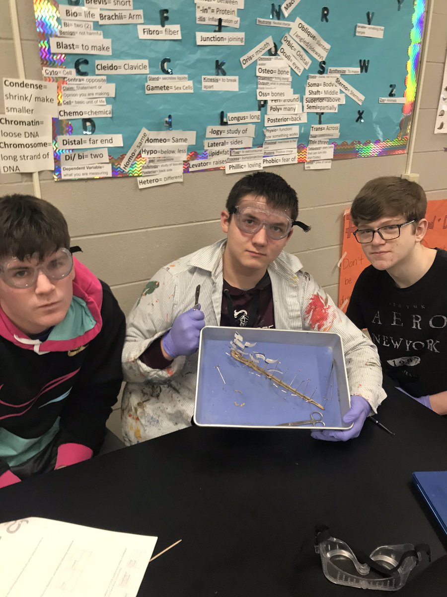 ShmouniS's tweet photo. This is My favorite time of the year! Dissection season is in full swing for Zoology, starting with earthworms! #princespride #princeslearning https://t.co/yfbPgN16Pc