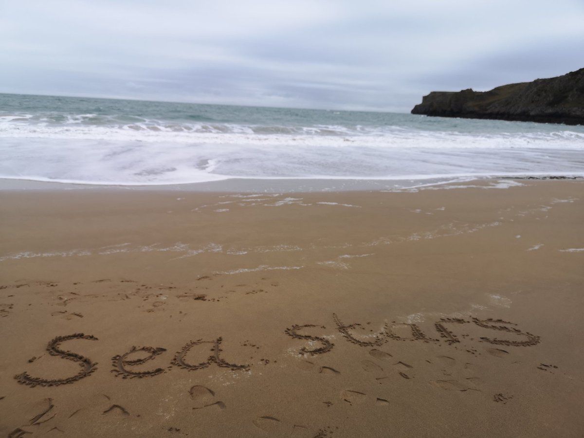 gladstonebarry's tweet photo. Sea stars have had a wonderful day! We are exhausted π #Seastars #Stackpole2020 #adventure https://t.co/Ozczpg5kpt