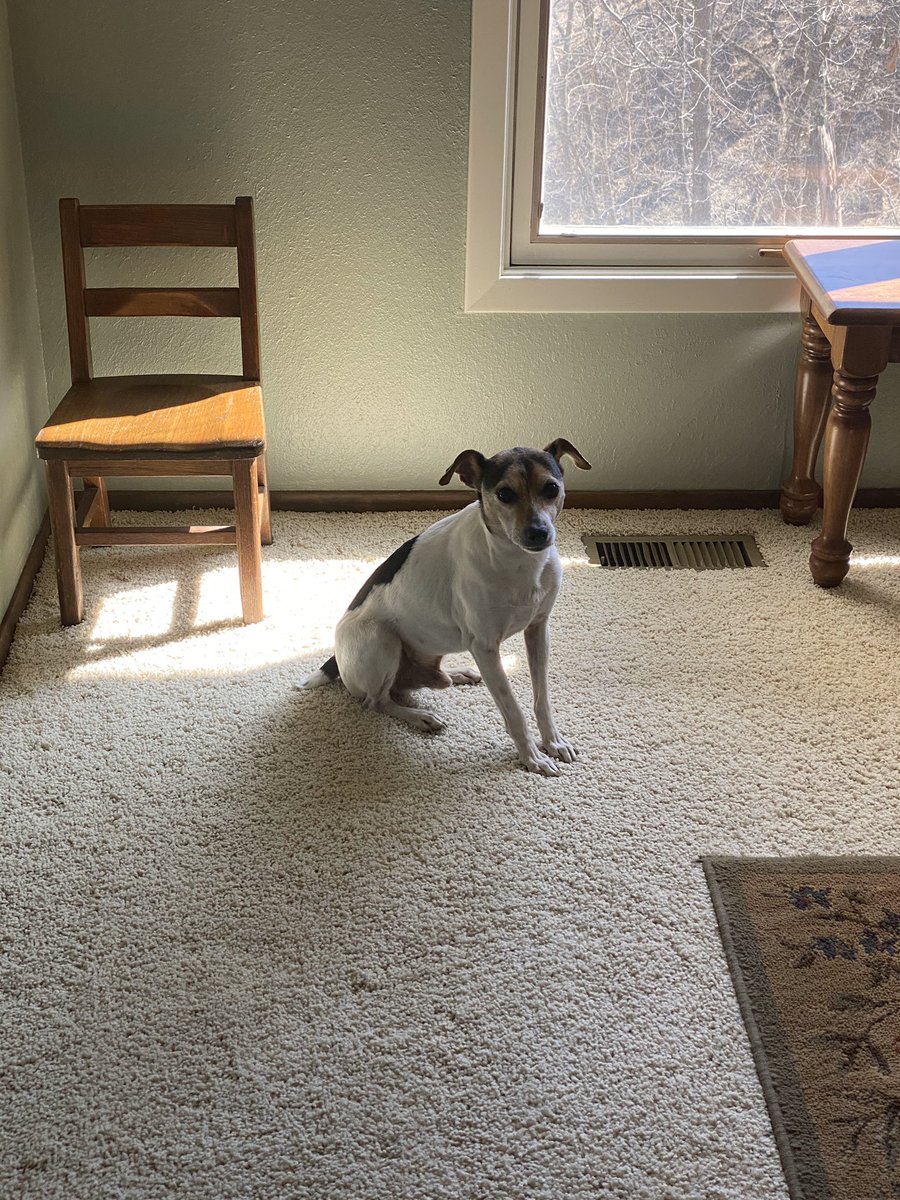 Shout out to my guy Elmer