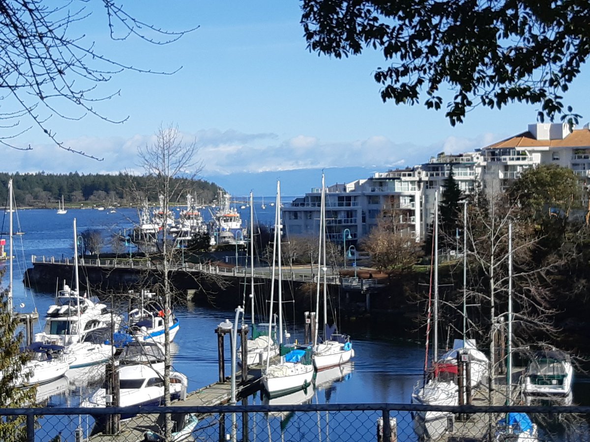 greg devenish tweet media