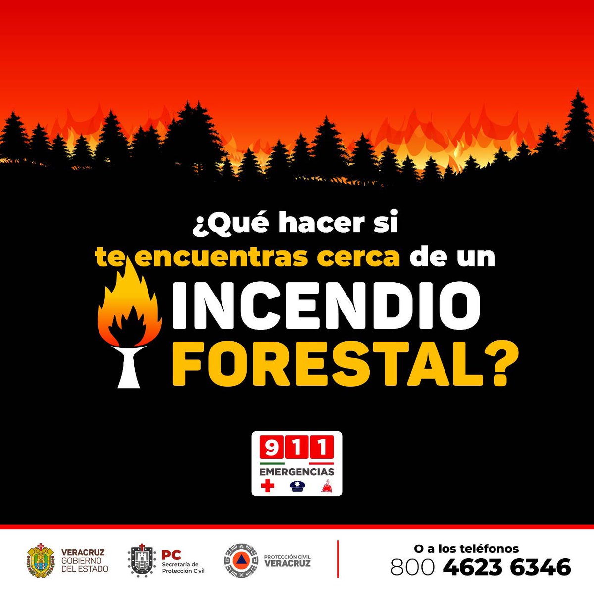 PCEstatalVer's tweet photo. ¿Sabías que las #suradas favorecen las condiciones para los #IncendiosForestales 🔥🌲y de pastizal?
Por lo anterior, ante el evento de surada pronosticado para la mañana y medio día de hoy, invitamos a extremar precauciones y atender a lo siguiente👇🏻: https://t.co/usokRAJT0f