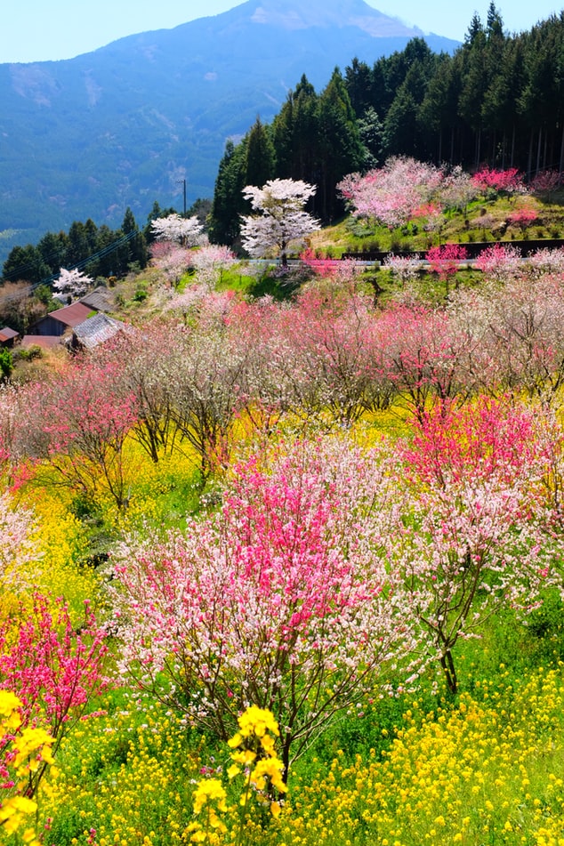 YoungBus1's tweet photo. 🌿 We can't wait for spring! 🌿

What's your favorite season? 🌸🍂☀️

#YoungTransportationandTours #Transportation #Tours #goIMG https://t.co/0d4F7eEeHS