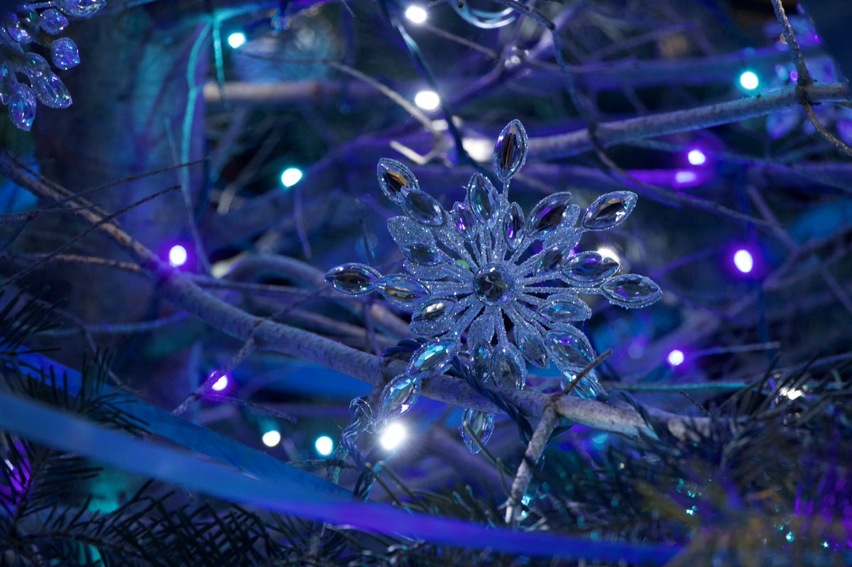 b_dimatteoo's tweet photo. For those who don’t know, i have a photography account ( @bdimatteo_photo ) i would love it if you could give me a follow! Here are just some of the shots I’ve taken! 

Thanks for the support! https://t.co/zPmOUvfwBV