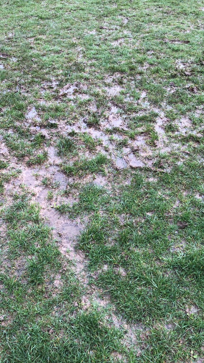 KING JOHN SPORT tweet media