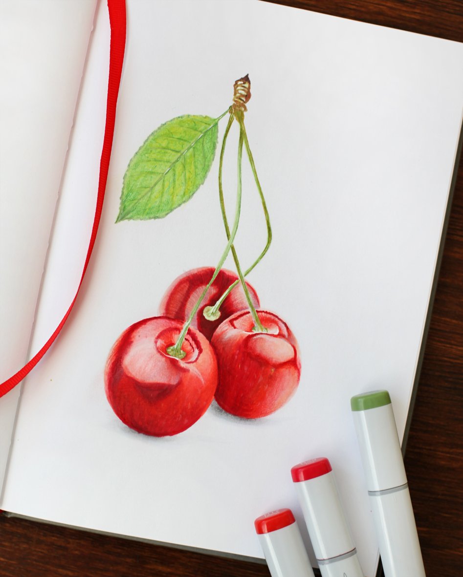Anna49990811's tweet photo. Sweet cherry (markers illustration)
#illustrations #markersillustration #markersdrawing #botanical #botanikalillustration #markersdrawing #markerspainting #cherrydrawing #sketch https://t.co/zfJKMIWHEJ