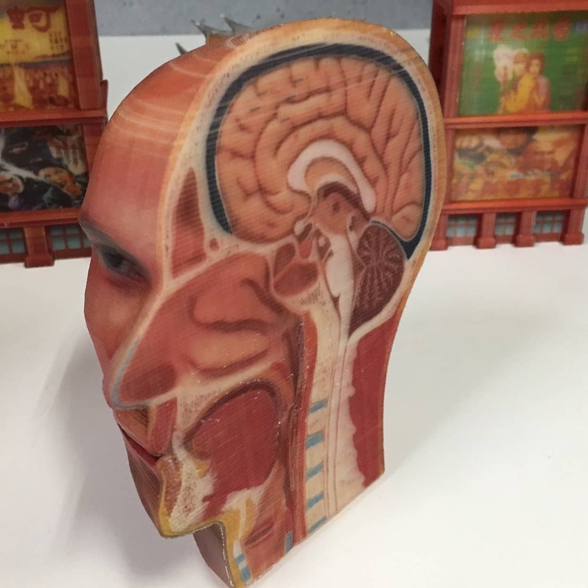 3_daddict's tweet photo. This model can also serve as an educational tool for use by health professionals to train students in neurosurgery medicine. #DaVinciColor #fullcolor #anatomy #Medical #students #Pedagogic #Professional #neurosurgery
#XYZプリンティング #ダヴィンチcolor
#3Dプリンター https://t.co/j6TsA89WiW