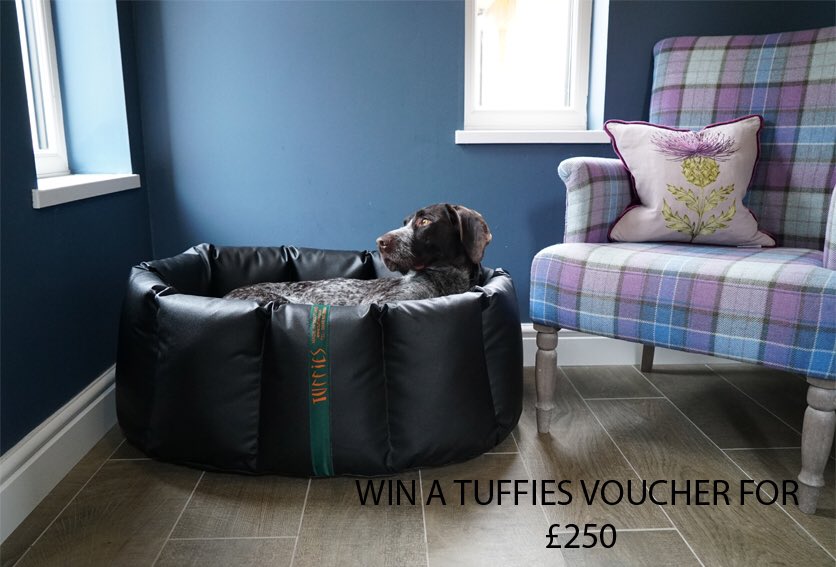 tuffiesdogbeds's tweet image. Win a £250 Tuffies voucher by visiting our stand at crufts this year Hall 5 stand 56 #tuffies #tuffiesdogbeds #crufts2020 #Crufts #dogbeds #bestdogbeds #crufts