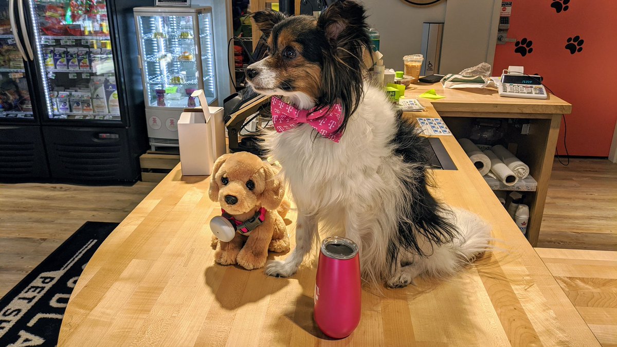 #SyncUPPETS - Peace of mind for you and your furry pets! Secure yours at #Tmobile Market &amp; Third!
