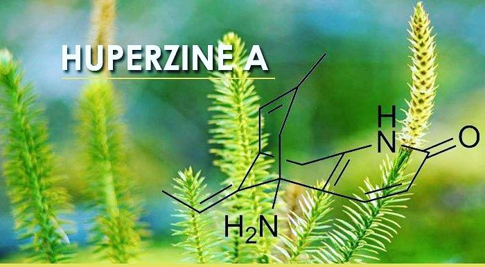 jahangirsaghani's tweet photo. Huperzine A does not only make your brain healthy and lively, but it also supports neurogenesis. It helps the brain to function properly.
https://t.co/y0se90v7Rh
#huperzine #huperzinea #huperzinebenefits #alzheimers #cognitive #brain #nootropic #mentalhealth #neurons #isbnplus https://t.co/6WkmYkJegl