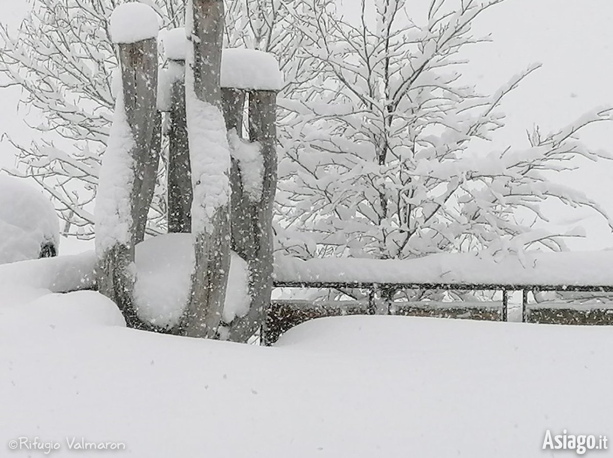 AsiagoIt's tweet photo. Scattate #IERI, presso il #RIFUGIO #VALMARON (1400 mt), #Enego... 😍
80 cm di #NEVE fresca hanno ricoperto ogni cosa, regalandoci uno spettacolo davvero emozionante... ❤❄
Non è un incanto? 🤩
Foto del 3/3/2020 del Rifugio Valmaron > https://t.co/Zh8TPlsjw3 https://t.co/AegyH9fWlr