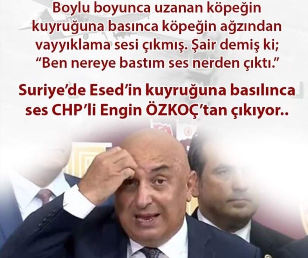 ABD, AB, Göçmen sorununda,ESED Ordusu vurulunca ve köşeye sıkıştıkça CHP kozunu ortaya sürüyorlar.!