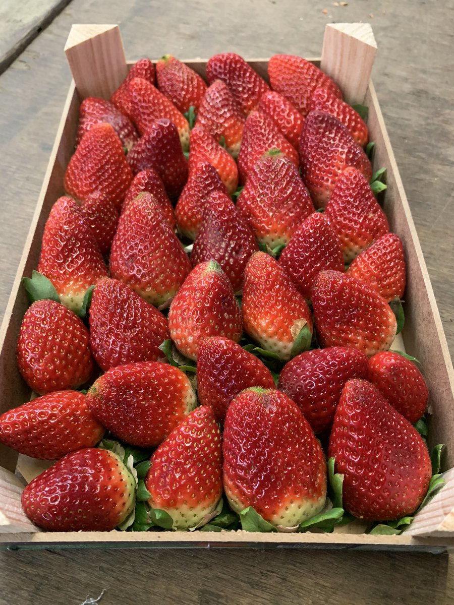 Tatws Trading 🏴󠁧󠁢󠁷󠁬󠁳󠁿🏴󠁧󠁢󠁷󠁬󠁳󠁿 tweet media