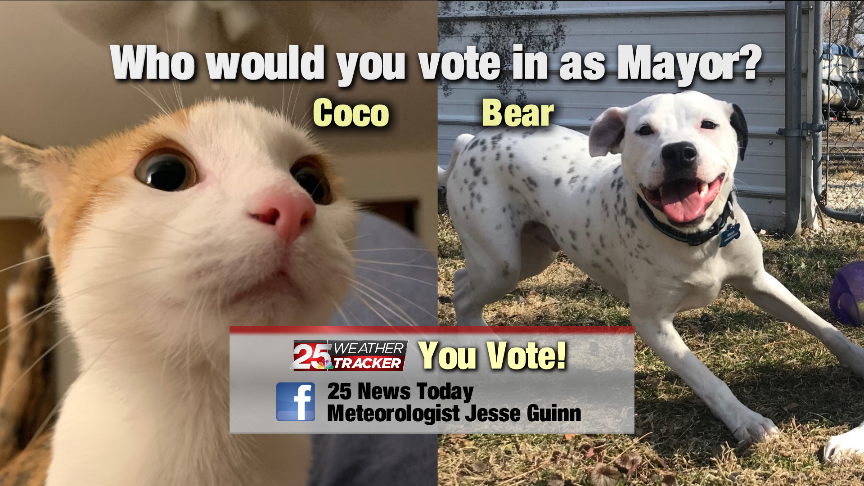 Jesse_Guinn's tweet photo. A school in Vermont is holding an election for mayor, and the contenders aren't human! So we decided to have a little election of our own, @StephRodNews's Coco, or my fur-baby Bear. You decide! @25NewsWEEK https://t.co/3CHMx7VaBQ