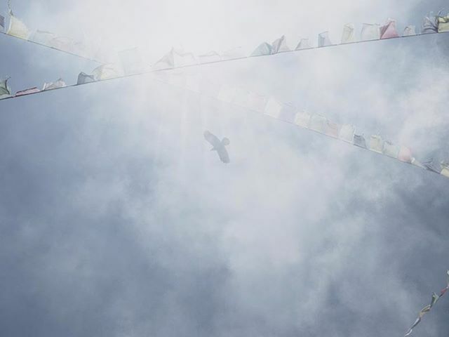 JulienFumard's tweet photo. In the #Himalayas #PrayerFlags are often found at passes, sacred sites or even in villages. Each of them is printed with #Buddhist sutras that are meant to spread thanks to the wind, thus blessing the surroundings. Each color represents an element : blue… https://t.co/YRDDoRuftF https://t.co/OarZSqfr4V