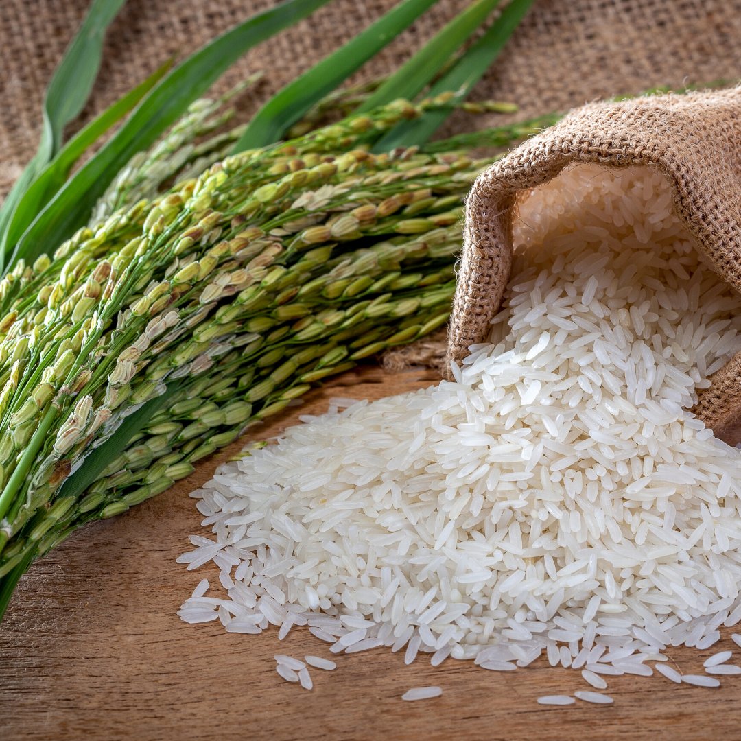 clinicalresult's tweet photo. Rice protein helps to tighten and maintain the elasticity of skin.
#clinicalresults247 #skincare #beauty #skin #information #riceprotein https://t.co/L3ClMiELKF