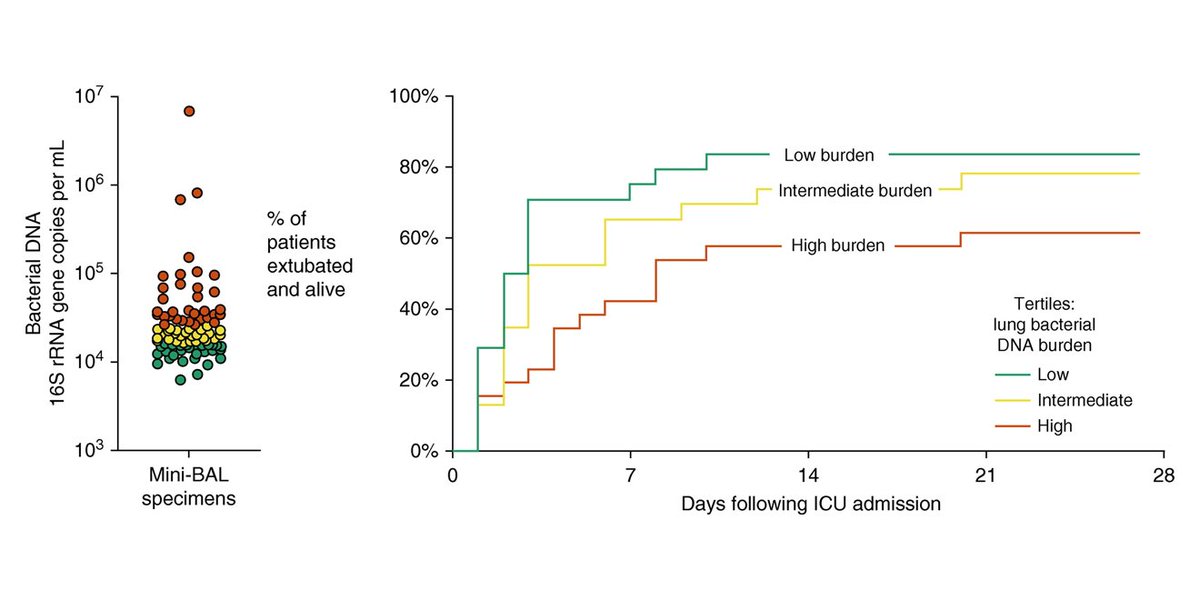 ATS Blue Journal tweet media