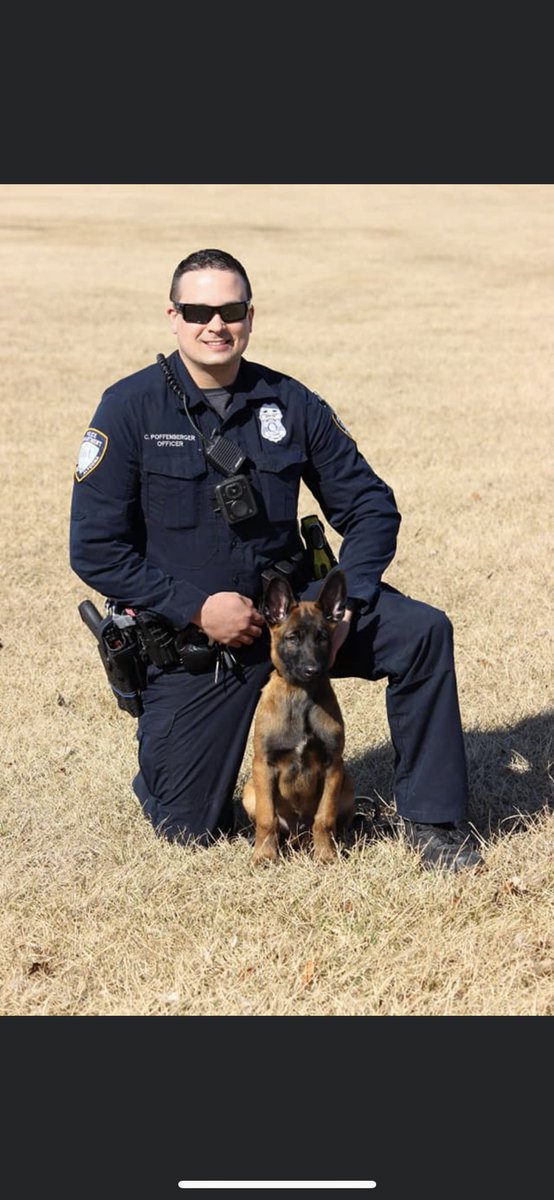 K9Zeke's tweet photo. K9 Zeke’s first professional picture! I’d be lying if I said we got this good of picture on the first try! https://t.co/rCMbHdimoM