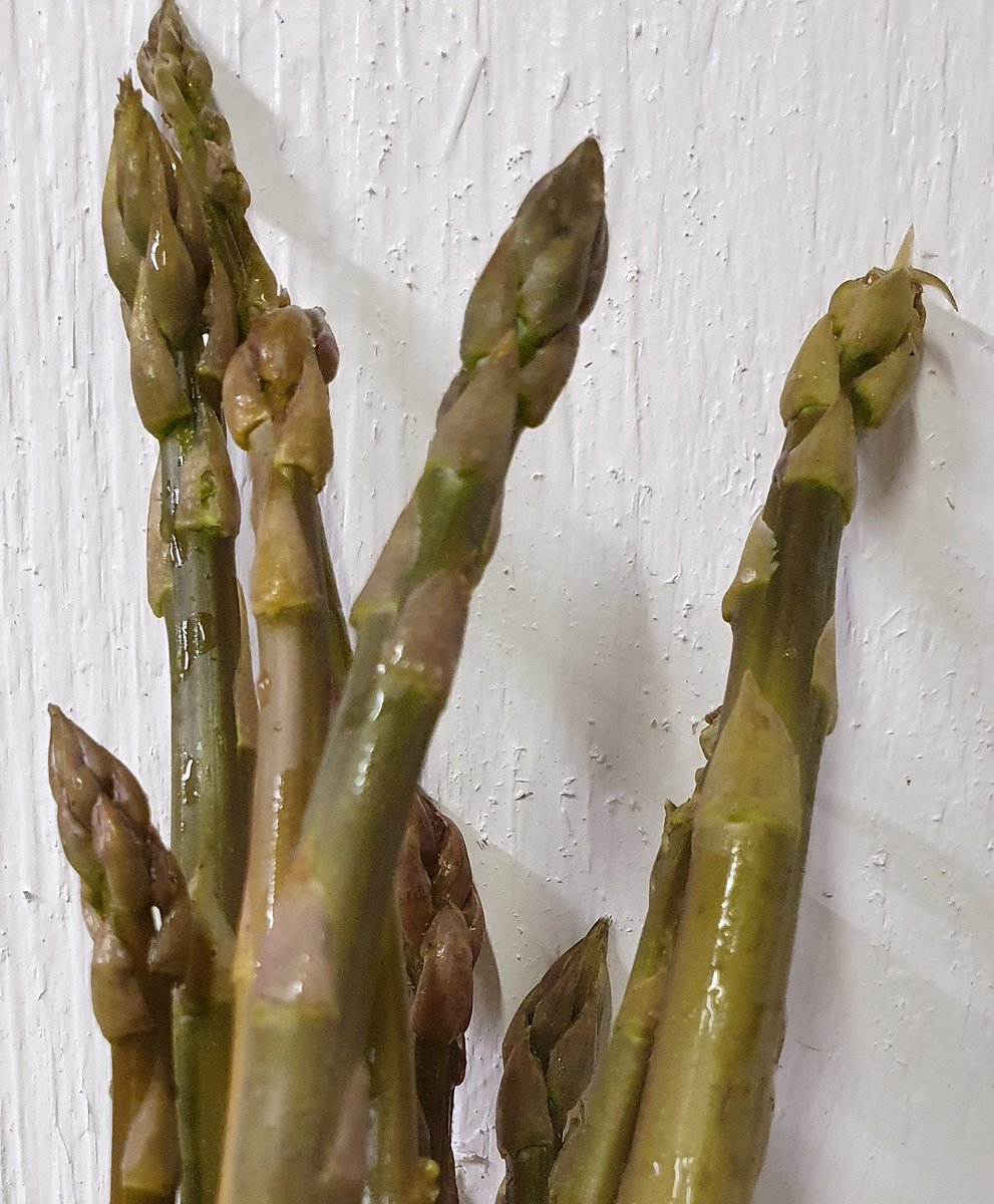 Great to pick our first stems of Asparagus today. Lots more starting to come up now! #asparagus #britishveg