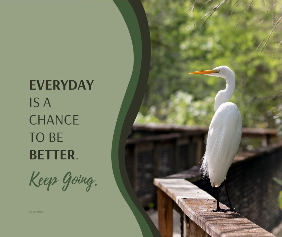 GRCCtweets's tweet photo. Don't stop, keep it going!

#RiverviewChamber
https://t.co/FqnZhuxIDf https://t.co/29nGg3zog5