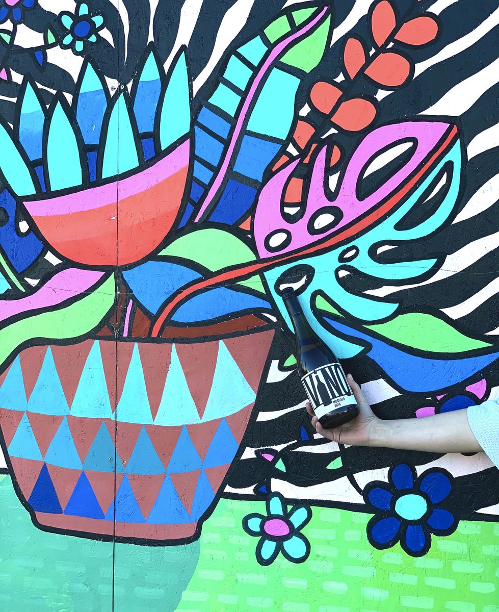 Where in North Park are we this week? Comment your guess below and tag the business it's closest to. The first person to guess correctly wins a Splash gift card!  #whereintheworld #makewinewelcoming #moscato #streetart