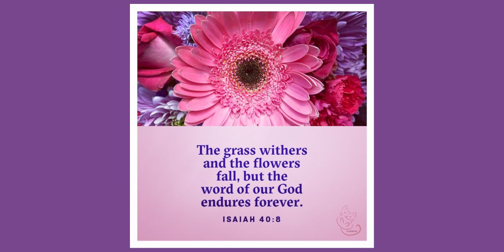 DebraWinningham's tweet photo. “The grass withers and the flowers fall, but the word of our God endures forever.”
Isaiah 40:8 NIV
#justbehis #isaiah40v8 https://t.co/zoIcOz4pBN
