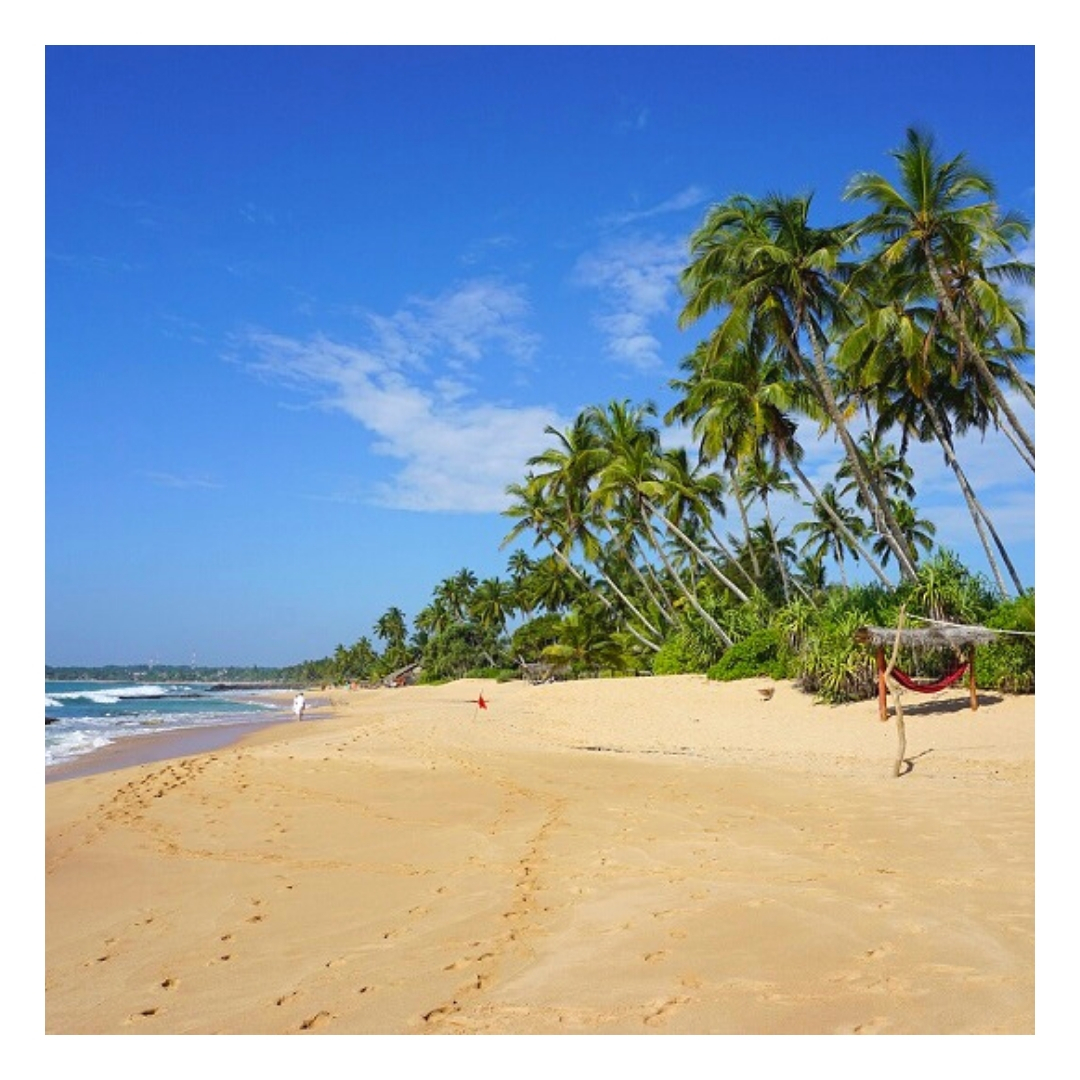 sourceofluxury's tweet photo. BLOG UPDATE - AFFORDABLE LUXURY WINTER SUN DESTINATIONS

Ready to swap your umbrella for a beach lounger? 
Updated post on affordable luxury winter sun destinations that are family and couple friendly. 

Swipe left to see more.

Read more: https://t.co/TgXlVGDXGk

#wintersun https://t.co/PDxnssDLjT