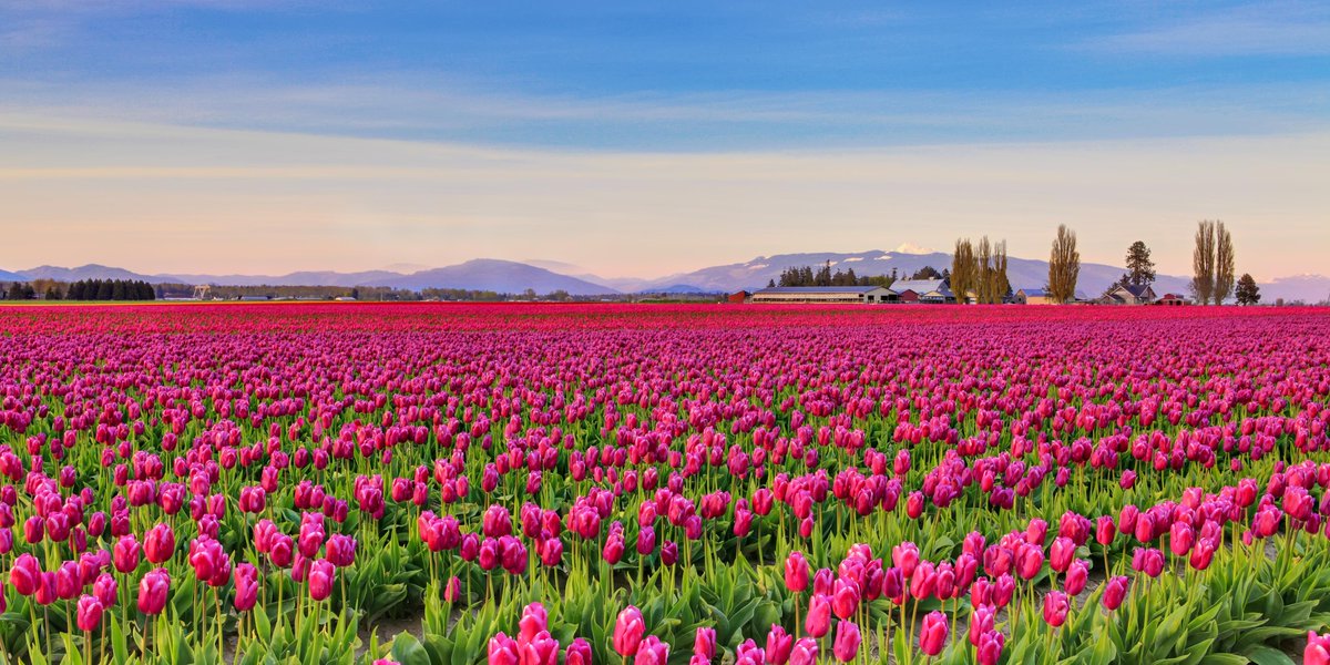 Expedia's tweet photo. The world is bursting with color! ❤️🧡💛💚💙💜 Explore some of the most colorful places here: https://t.co/YhQvzS9n6S #ExpediaChat https://t.co/Isr5TKUjEE