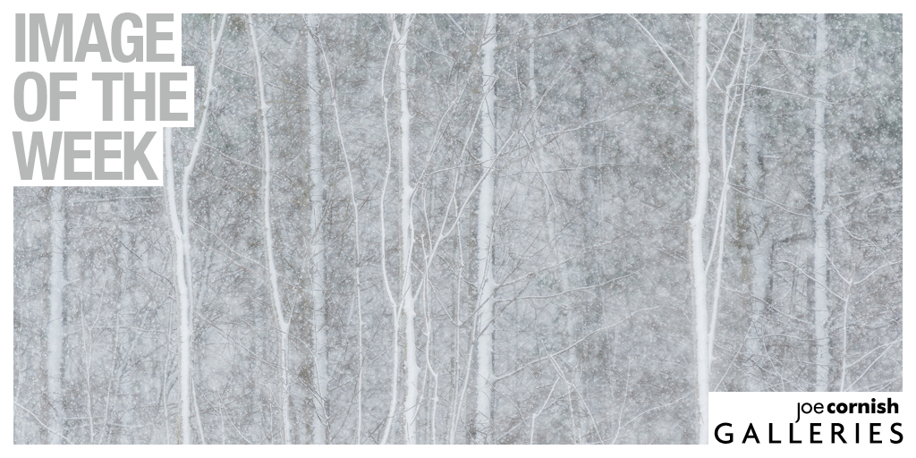 jcornishgallery's tweet photo. We absolutely love the ethereal beauty of 'Blizzard' by @mark_lj which features in his current exhibition here at the Galleries.
Available to buy from the Galleries and online: https://t.co/mddWt3SXSt
#joecornishgalleries #landscape #photography #marklittlejohn #ArtCraftSoul https://t.co/MkO2YUVNtb