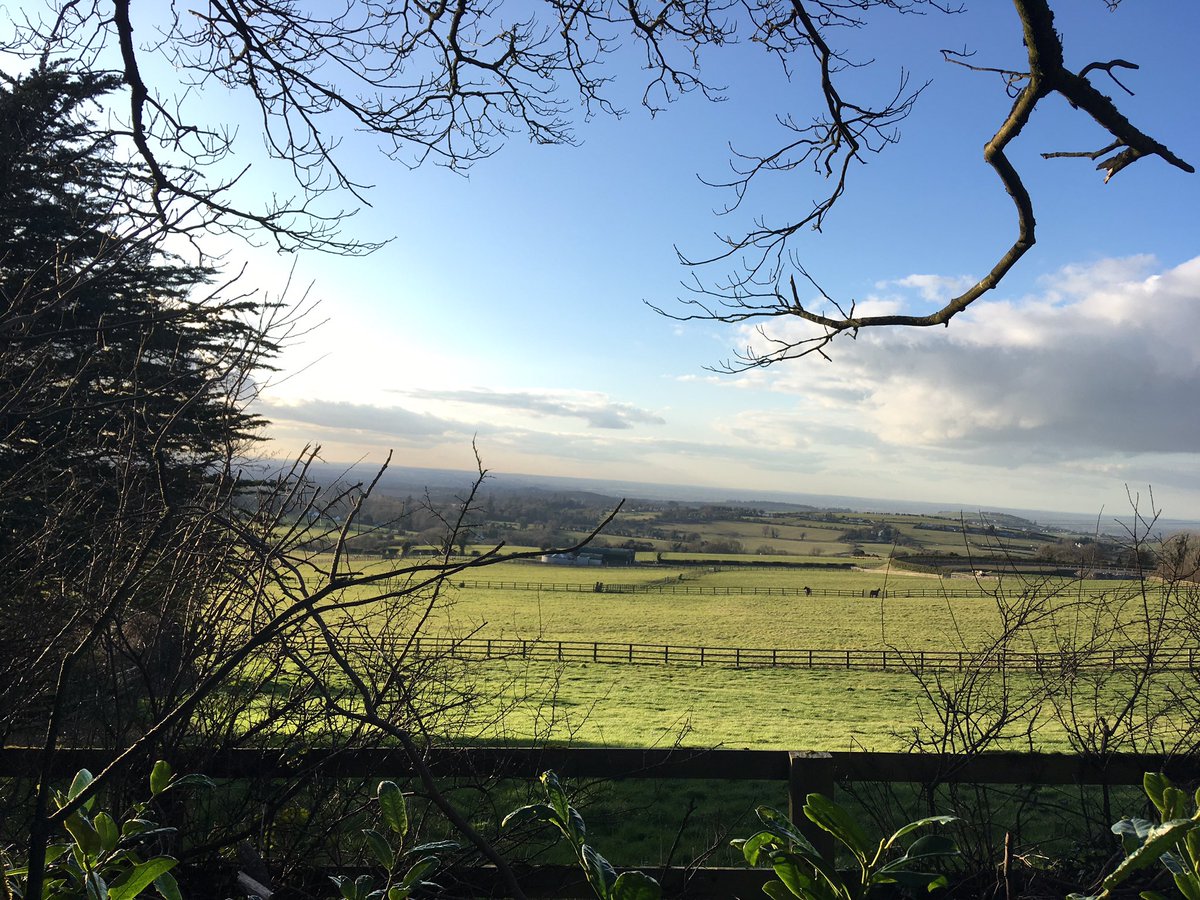 mringster's tweet photo. Day 62: out this afternoon, 2 very happy dogs, and then a great surprise- my niece joined me- lovely chat - we saw horses, the moon, cool shadows and Fairy Trees, #joyinsimplethings #100daysofwalking https://t.co/KVKIA7t2fP