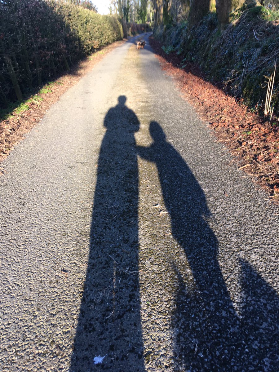 mringster's tweet photo. Day 62: out this afternoon, 2 very happy dogs, and then a great surprise- my niece joined me- lovely chat - we saw horses, the moon, cool shadows and Fairy Trees, #joyinsimplethings #100daysofwalking https://t.co/KVKIA7t2fP