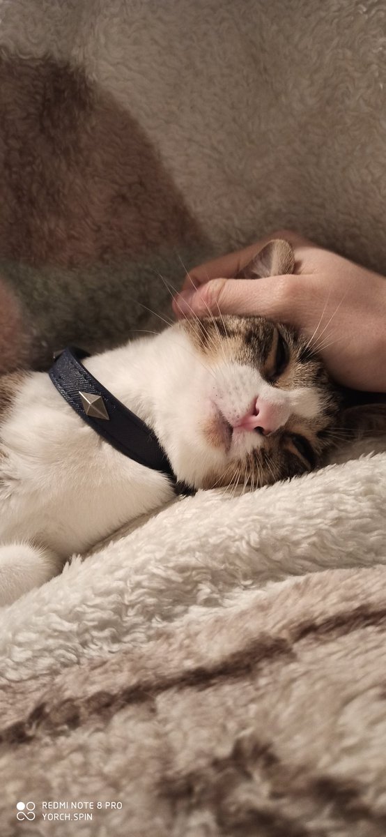 YorchSpin's tweet photo. Por cierto, mirad que bebé mas bonita https://t.co/RvjvzLTJxe